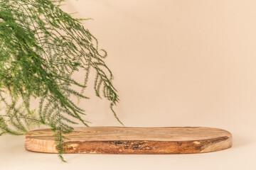 Background for products cosmetics, food or jewellery. Rustic wood slice podium. Front view.	