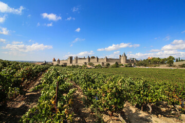 Fototapeta na wymiar Cité de Carcassonne / France 