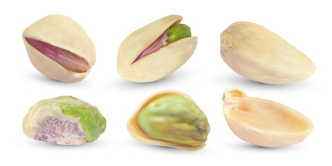 Vector raw pistachio nuts with shell. Realistic salted kernel background. Dry pistache isolated on white. Cooking food illustration.