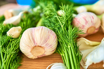 A few heads and cloves of young fresh garlic lie on a cutting board, surrounded by dill. Selective focus