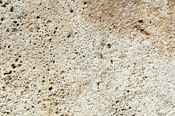 texture of porous stone. texture of shell rock