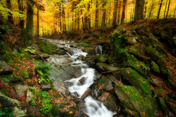 Beautiful autumn forest in the mountains