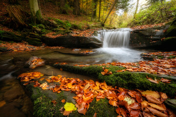 Beautiful autumn forest in the mountains