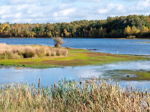 Lake, peat bog with moorgrass and reed in nature reserve Dwingelderverld, Drenthe, Netherlands