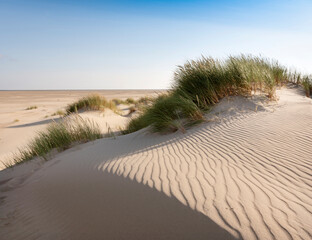 Die niederländischen Watteninseln haben viele verlassene Sanddünen unter blauem Sommerhimmel in den Niederlanden