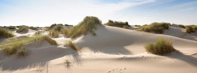 Küchenrückwand glas motiv Nordsee, Niederlande Die niederländischen Watteninseln haben viele verlassene Sanddünen unter blauem Sommerhimmel in den Niederlanden