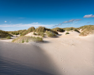 dutch wadden islands have many deserted sand dunes uinder blue summer sky in the netherlands