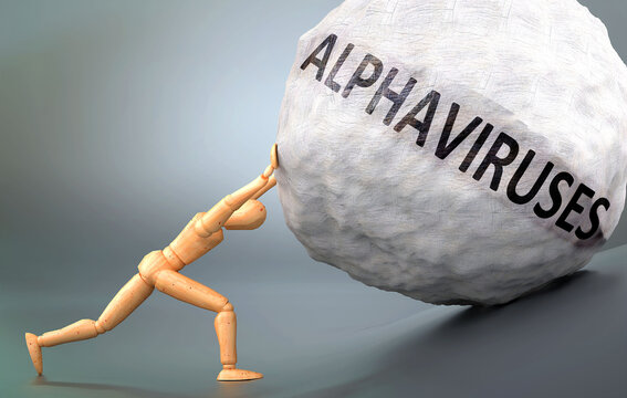 Alphaviruses - depiction, impression and presentation of this condition shown a wooden model pushing heavy weight to symbolize struggle and pain when dealing with Alphaviruses, 3d illustration