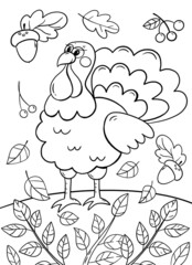 Thanksgiving Day coloring book page. Turkey coloring page.
