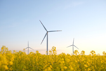 Wind turbine energy generator. Gree energy power supply.