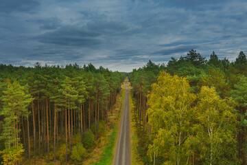 Prosta leśna droga w wysokim sosnowym lesie. Widok z drona.