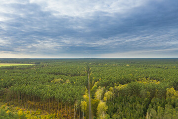 Bory Dolnośląskie, panorama lasów wykonana z dużej wysokości przy użyciu drona. - obrazy, fototapety, plakaty