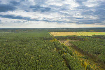Bory Dolnośląskie, panorama lasów wykonana z dużej wysokości przy użyciu drona. - obrazy, fototapety, plakaty