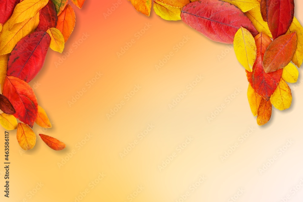 Sticker Autumn fall festival bright color leaves