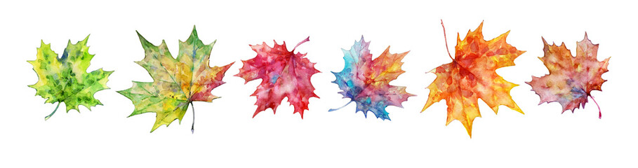 Autumn set of colorful maple leaves. A collection of multicolored leaves painted in watercolor on a white background. Stylish maple leaves for design and creativity.