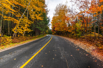 Obraz premium autumn landscape Mont-tremblant-10