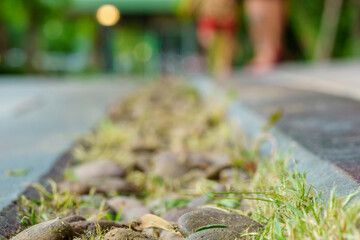 stones and grass in foreground and blurred background