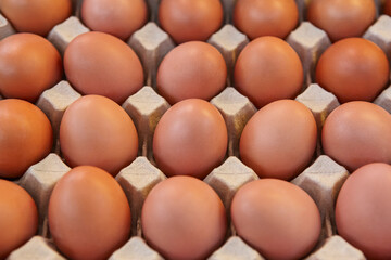 Fototapeta na wymiar Chicken eggs on a carton packaging. Healthy food