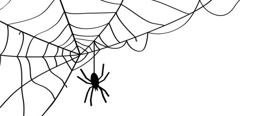 Cartoon spider web for happy halloween party, october. Flat vector cobweb background. insect pictogram or logo. Drawing  line pattern.