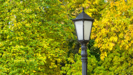 Lantern against autumn yellow trees. Street lamp in the autumn park. Beautiful Autumn Landscape With Old Fashion Lamp.