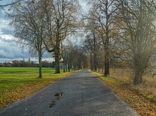 road in the autumn