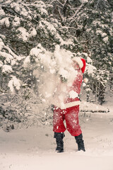 Funny Santa Claus in a snowy winter forest.