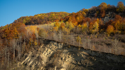 Amazing colors in the fall season