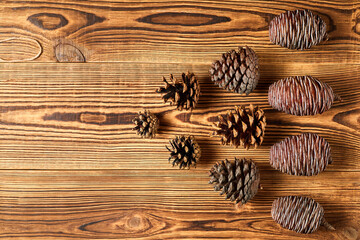 Fir cones on brown wooden background with copy space