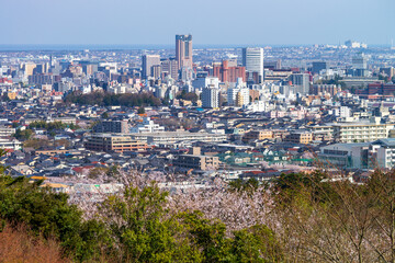 桜咲く大乗寺丘陵公園から金沢の市街地を望む