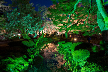 国の特別名勝　兼六園の夜桜観賞