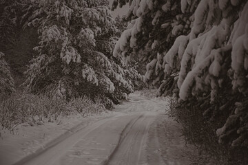 Vintage picture of winter road. Dark January morning in a forest. Spooky atmosphere, cold air and...