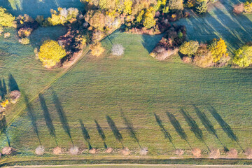 Looking straight down on a row of trees with long shadows in the morning light along a meadow in Taunus / Germany 