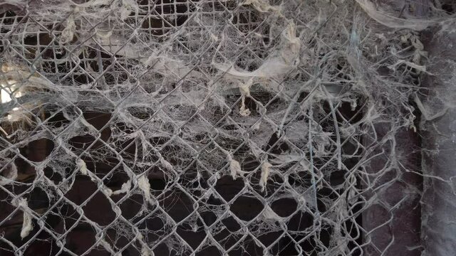 spooky huge spider web made by many spiders on a window of an abandoned house - scary image for Halloween