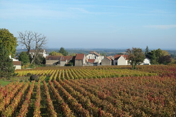 Fototapeta na wymiar The landscape in Burgundy during autumn