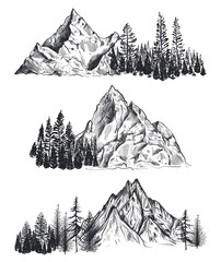 Vector set of hand drawn graphic mountain ranges and pine forest.