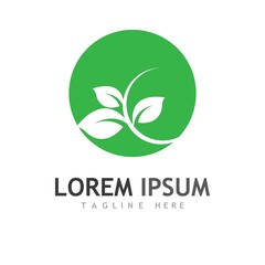 Fototapeta premium leaf logo and vector images
