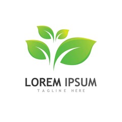 leaf logo and vector images