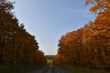 Obraz premium The maple road in autumn, Sainte-Lucie, Québec, Canada