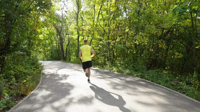 Slow motion sporty man running in summer park and approaching road fork, sun shining through trees. Following shot of athlete exercising in the morning. Concept of fitness