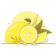 Lemon slices with leaves. Whole lime and cut pieces of lemon isolated on white. Text fresh lemonade and copy space. Juicy fruit vitamin banner vector illustration.