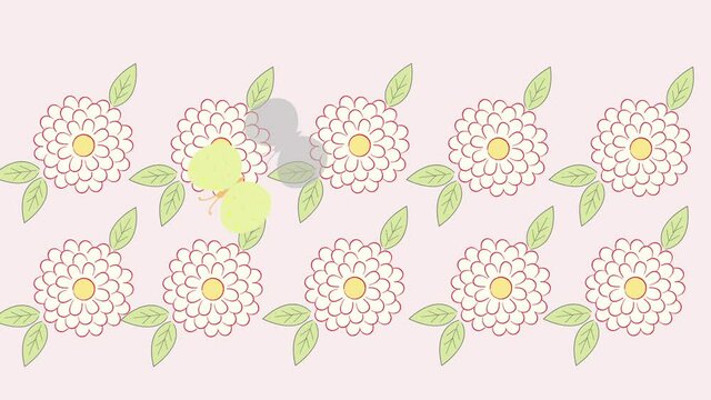 Flowers & Butterfly.