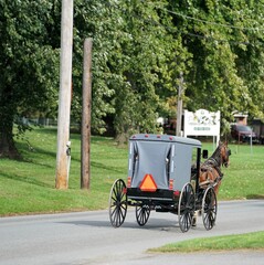 horse carriage on the roadside in Lancaster PA