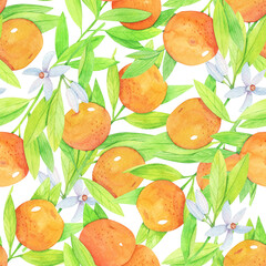 Seamless watercolor pattern with mandarin branches, hand drawn watercolor illustration on white background