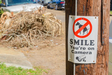 "Smile You're on Camera", No Dog Pooping Sign on Utility Pole