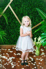  Little cute girl with blond hair in a white dress  and white flowers, lilies and orchids on a  background with a green tropical plants