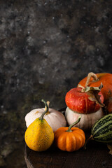 Various decorative pumpkins and dry leaves.