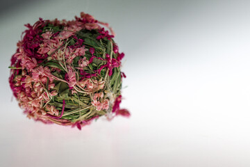 A ball of small pink flowers on white background
