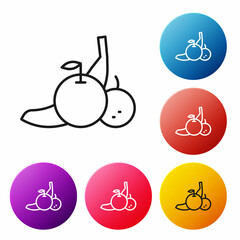 Black line Fruit icon isolated on white background. Set icons colorful circle buttons. Vector