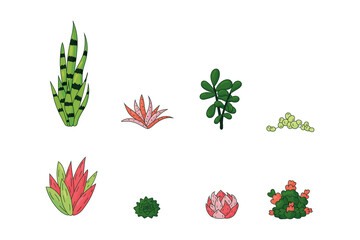 Set of different vector colorful succulent, hand drawn style vector illustration isolated on white background. Succulent icon for greeting card and invitations.