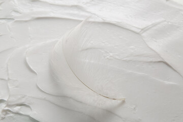 Fototapeta na wymiar feather on white face cream background